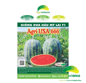 Dưa Hấu AGRI USA 666
