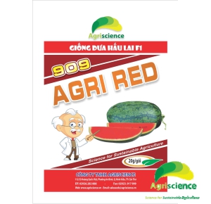 Dưa Hấu AGRI RED 909