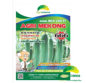 Dưa Leo AGRI MEKONG 666