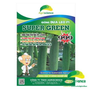 Dưa Leo SUPER GREEN 999