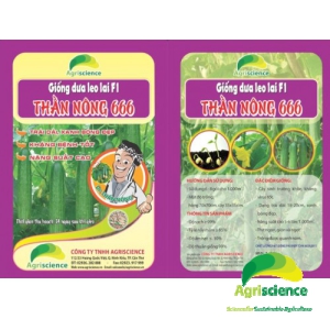 Dưa leo Thần Nông 666