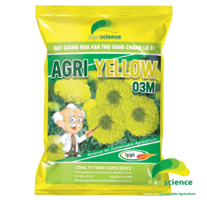 Hoa Vạn Thọ Vàng Chanh Lỡ F1 - AGRI YELLOW 03M
