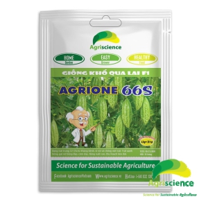 Khổ Qua Lai F1 AGRIONE 66S