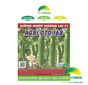 Mướp Hương Lai F1 AGRI OTO 168