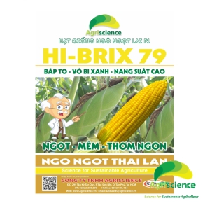 Ngô Ngọt Lai F1 Hi-Brix 79