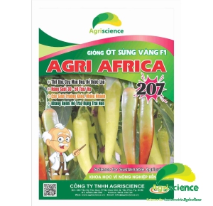 Ớt Sừng Vàng AGRI AFRICA 207