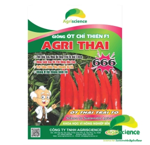 Ớt AGRI THAI 666