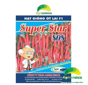Ớt Sừng Xanh SUPER STAR 808
