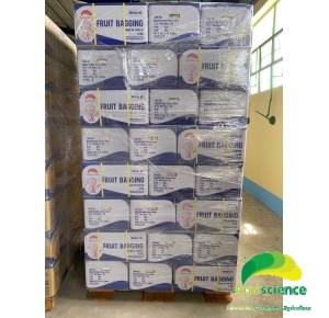 Túi Bao Trái - Agriscience White Made in Taiwain