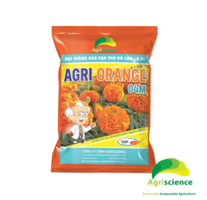 Hoa Vạn Thọ Đỏ Cam Lỡ F1 - AGRI ORANGE 04M