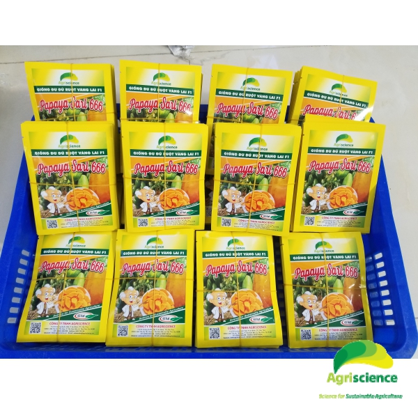 Đu Đủ Ruột Vàng PAPAYA SARI 666