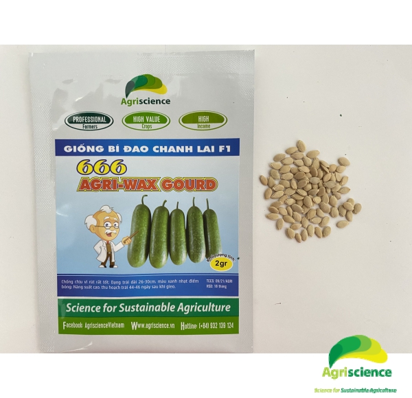 Bí Đao Chanh AGRI WAXGOURD 666