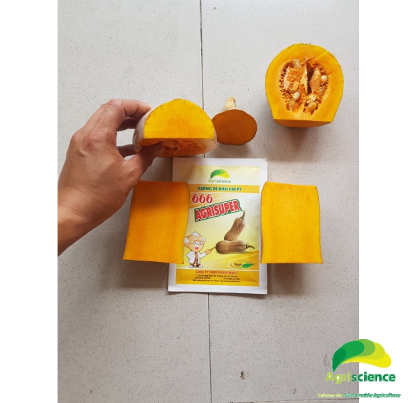 Bí Đậu AGRISUPER 666
