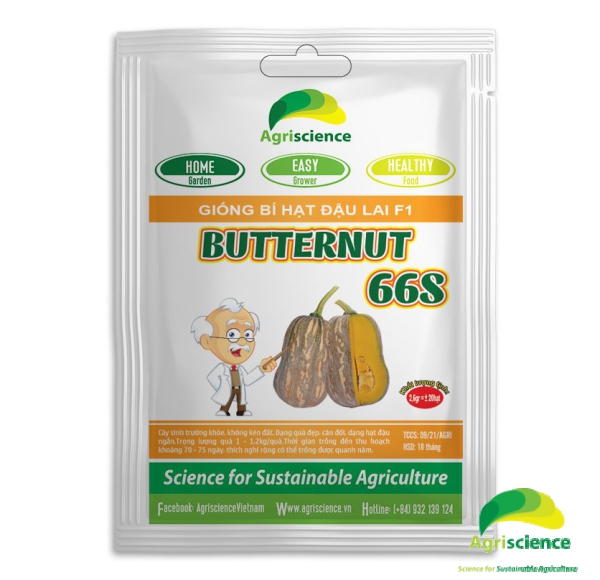 Bí hạt đậu BUTTERNUT 66S