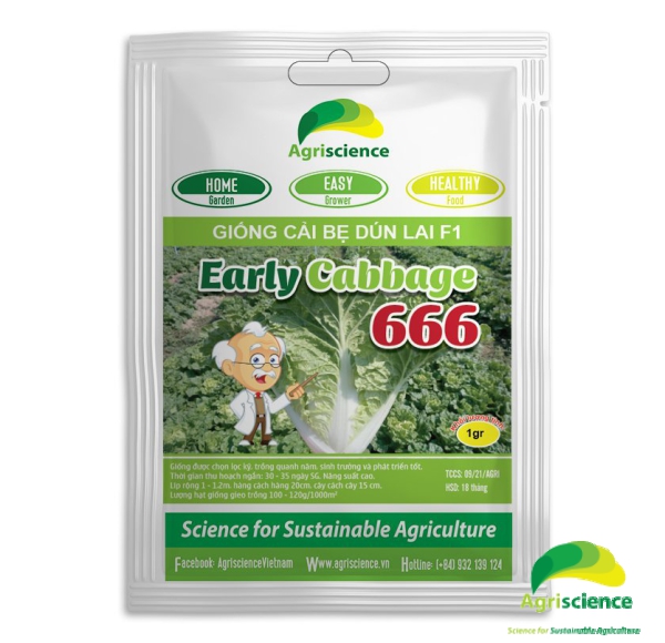 Cải Bẹ Dún EARLY CABBAGE 666