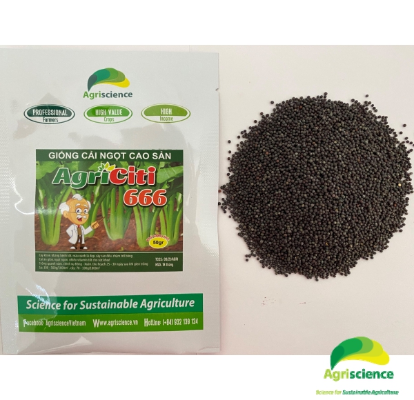 Cải Ngọt Cao Sản AGRI CITI 666