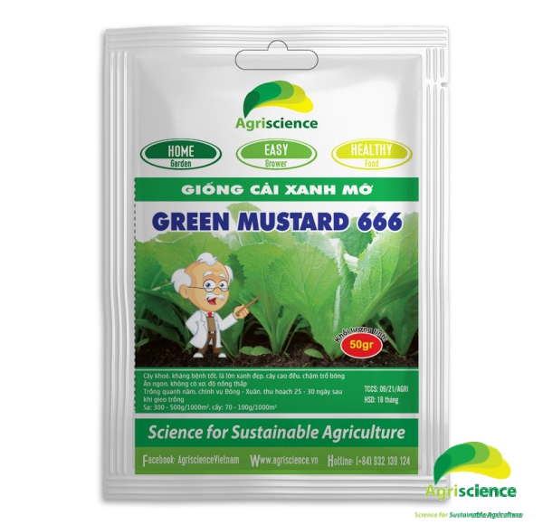 Cải xanh mỡ Green Mustard 666