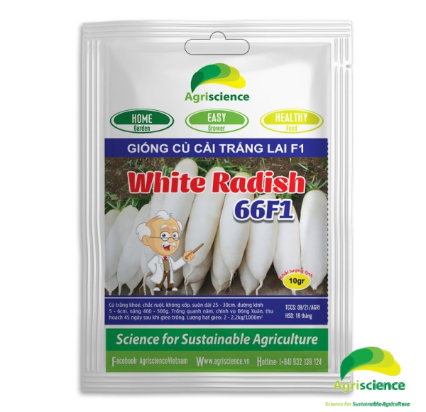 Củ Cải Trắng White Radish 66F1