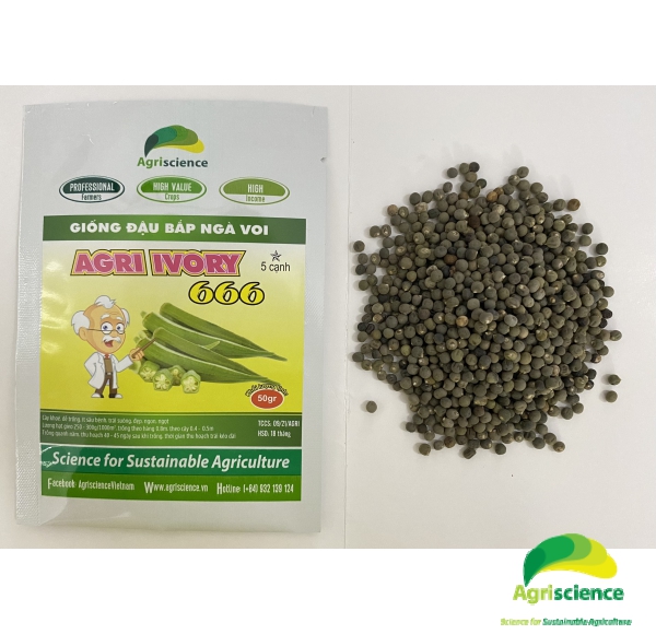 Đậu Bắp Cao Sản AGRI IVORY 666