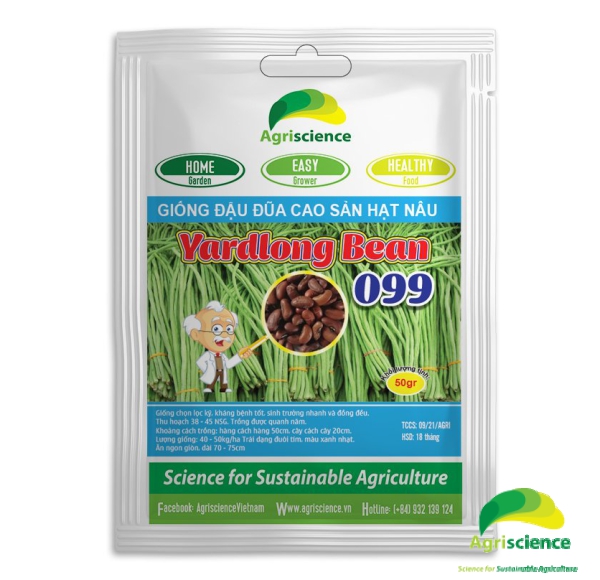 Đậu Đũa hạt nâu YARD LONG BEAN 099 (đuôi tím)
