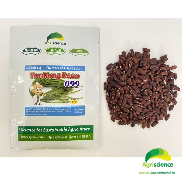 Đậu Đũa hạt nâu YARD LONG BEAN 099 (đuôi tím)