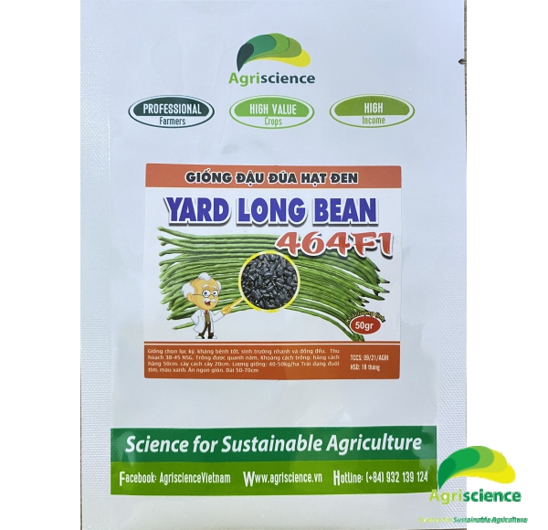 Đậu Đũa hạt đen Yard Long Bean 464F1 (đuôi tím)