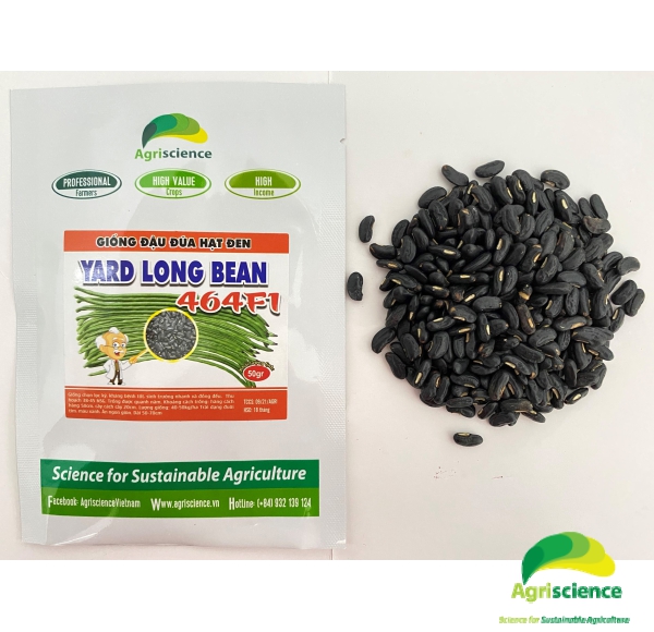 Đậu Đũa hạt đen Yard Long Bean 464F1 (đuôi tím)