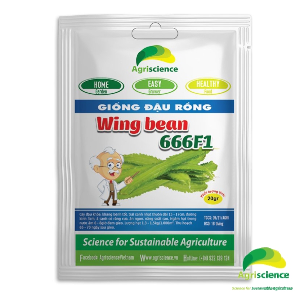Đậu Rồng WING BEAN 666F1