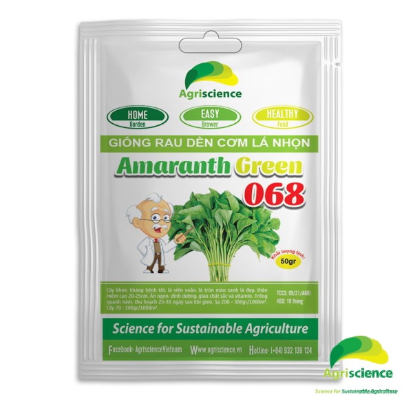 Dền cơm Lá Nhọn Amaranth Green 068