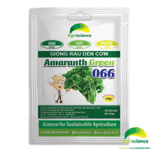 Dền cơm Lá Tròn Amaranth Green 066