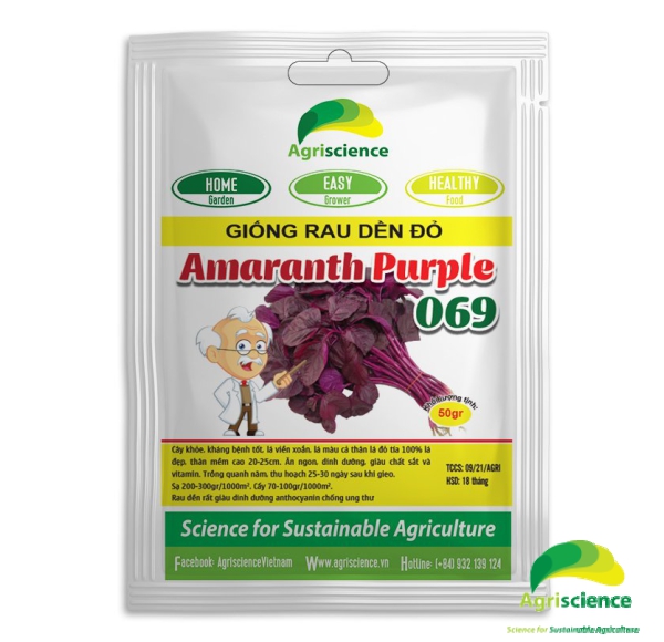 Dền đỏ Lá Tròn Amaranth Purple 069