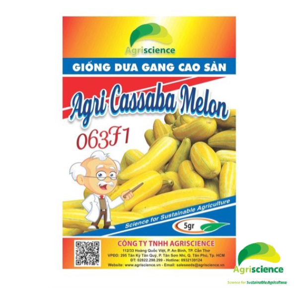 Dưa Gang Cao Sản  Agri Cassaba Melon 063F1