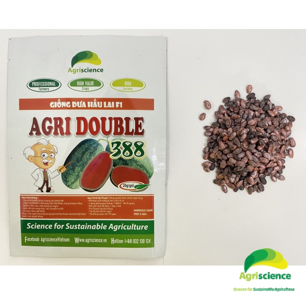 Dưa hấu AGRI DOUBLE 388