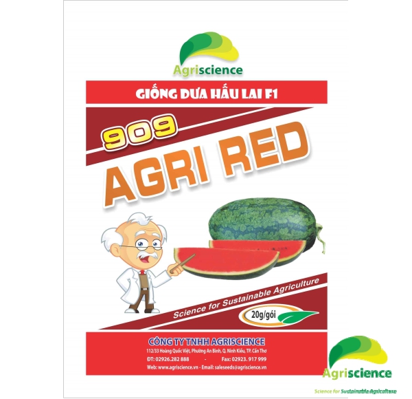 Dưa Hấu AGRI RED 909