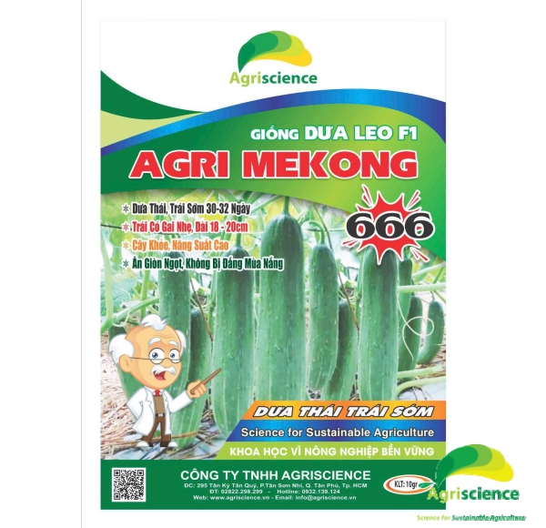 Dưa Leo AGRI MEKONG 666