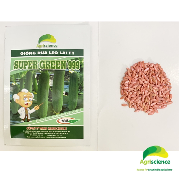 Dưa Leo SUPER GREEN 999
