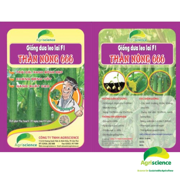 Dưa leo Thần Nông 666