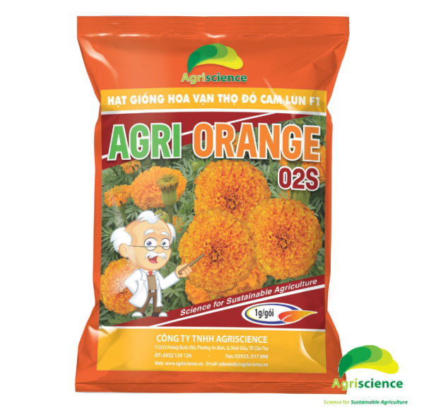Hoa Vạn Thọ Đỏ Cam Lùn F1 - AGRI ORANGE 02S