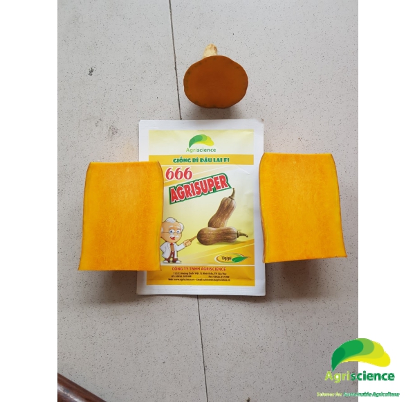 Bí Đậu AGRISUPER 666