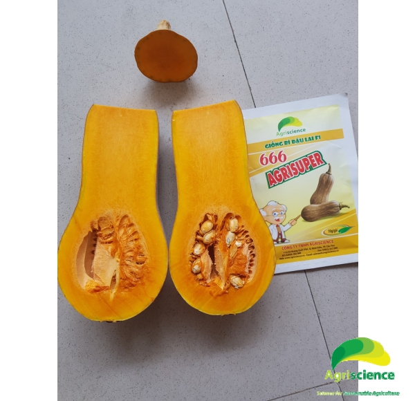 Bí Đậu AGRISUPER 666