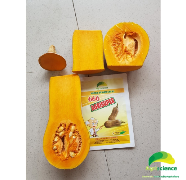 Bí Đậu AGRISUPER 666