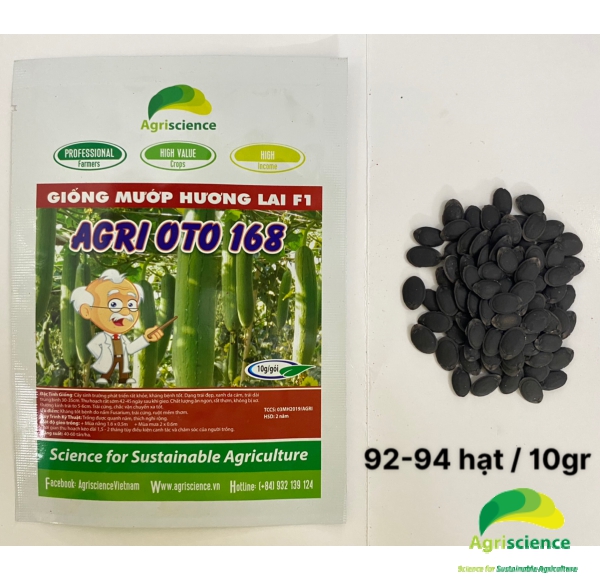 Mướp Hương Lai F1 AGRI OTO 168
