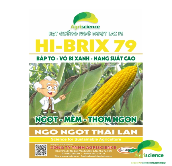 Ngô Ngọt Lai F1 Hi-Brix 79
