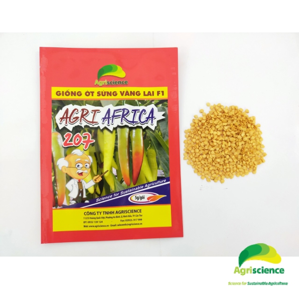 Ớt Sừng Vàng AGRI AFRICA 207