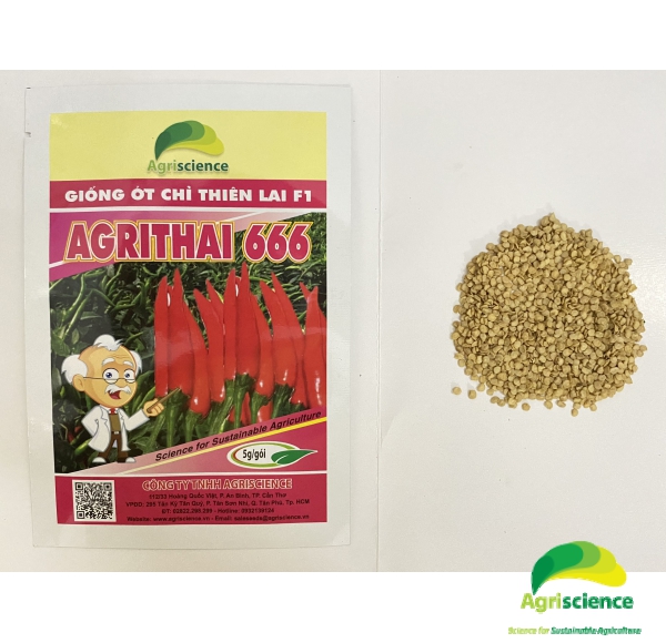 Ớt AGRI THAI 666