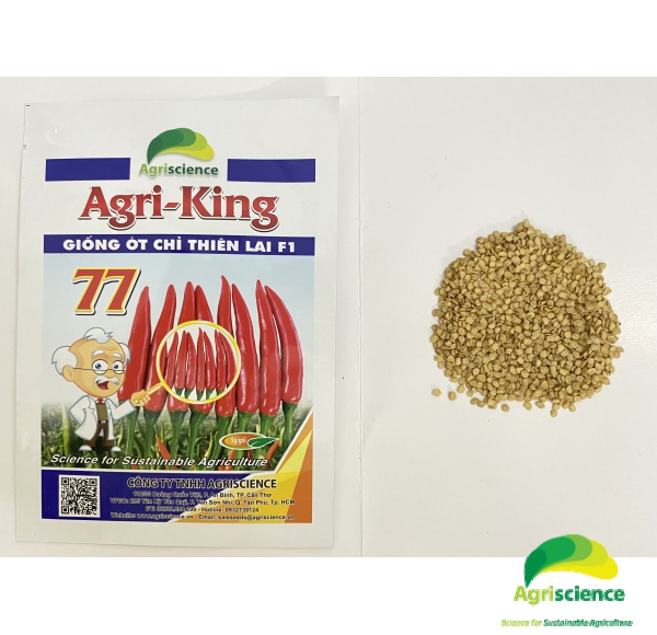 Ớt AGRI - KING 77