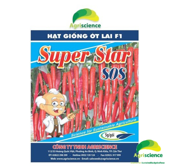 Ớt Sừng Xanh SUPER STAR 808