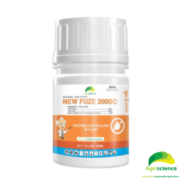 Hoa Vạn Thọ Đỏ Cam Lỡ F1 - AGRI ORANGE 04M