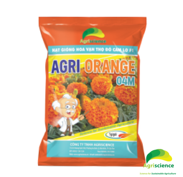Hoa Vạn Thọ Đỏ Cam Lỡ F1 - AGRI ORANGE 04M