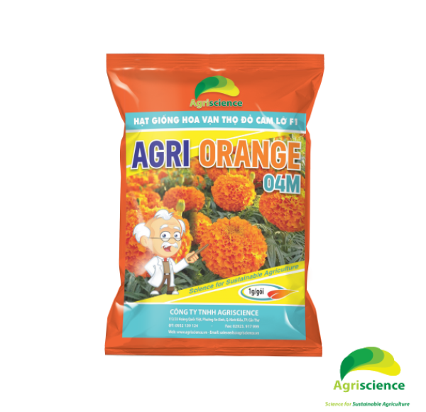Hoa Vạn Thọ Đỏ Cam Lỡ F1 - AGRI ORANGE 04M